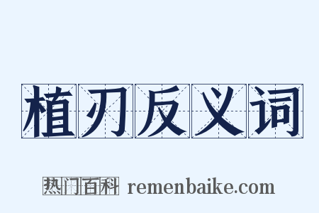 植刃反义词是什么意思的图片